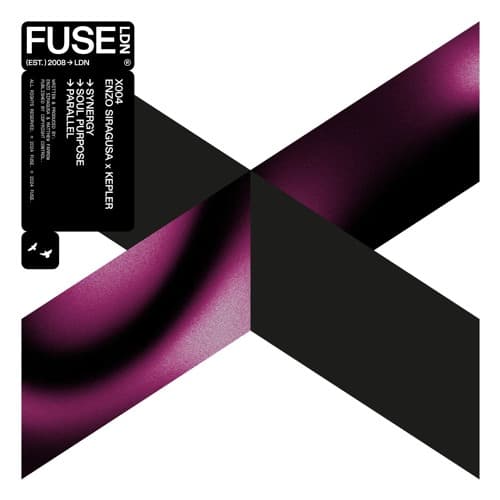 Enzo Siragusa & Kepler — Synergy