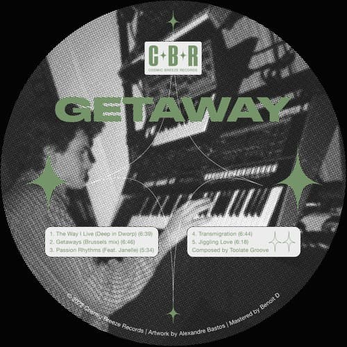 Toolate Groove — The Way I Live