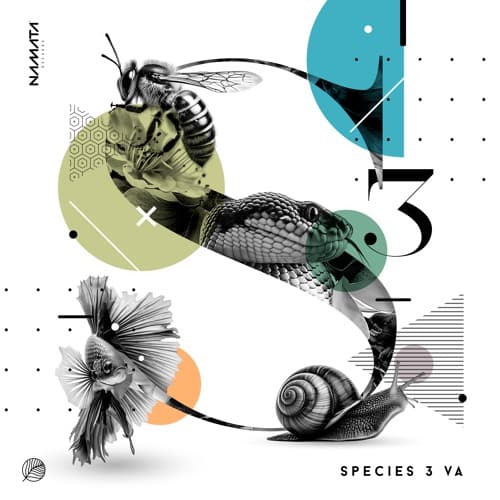 Damaskus — Time For Action
