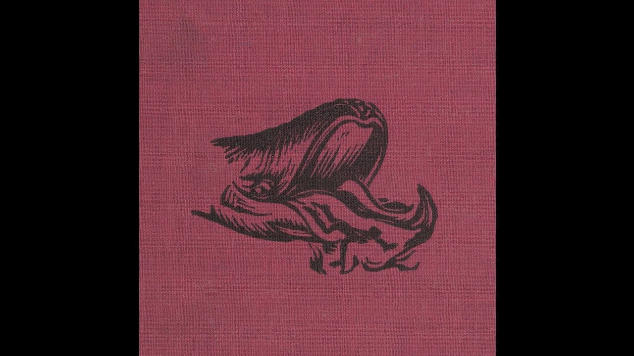 Aleksandir — Jardin