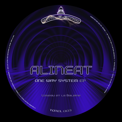 Alineat — L'oiseau et la Baleine