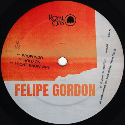 Felipe Gordon — Hold On