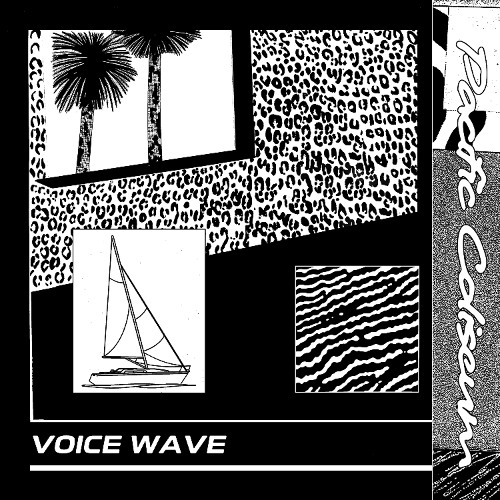 Pacific Coliseum — Voice Wave