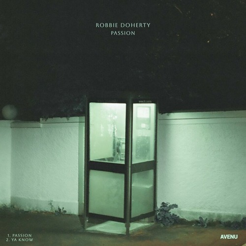 Robbie Doherty — Passion